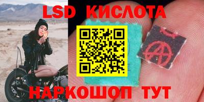 круглые Будённовск