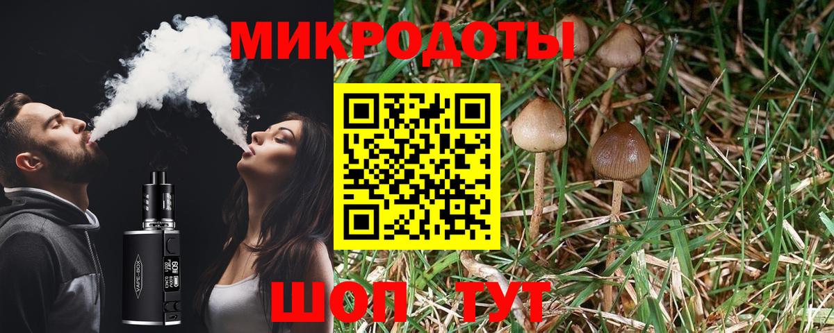 Псилоцибиновые грибы Psilocybine cubensis Лысьва